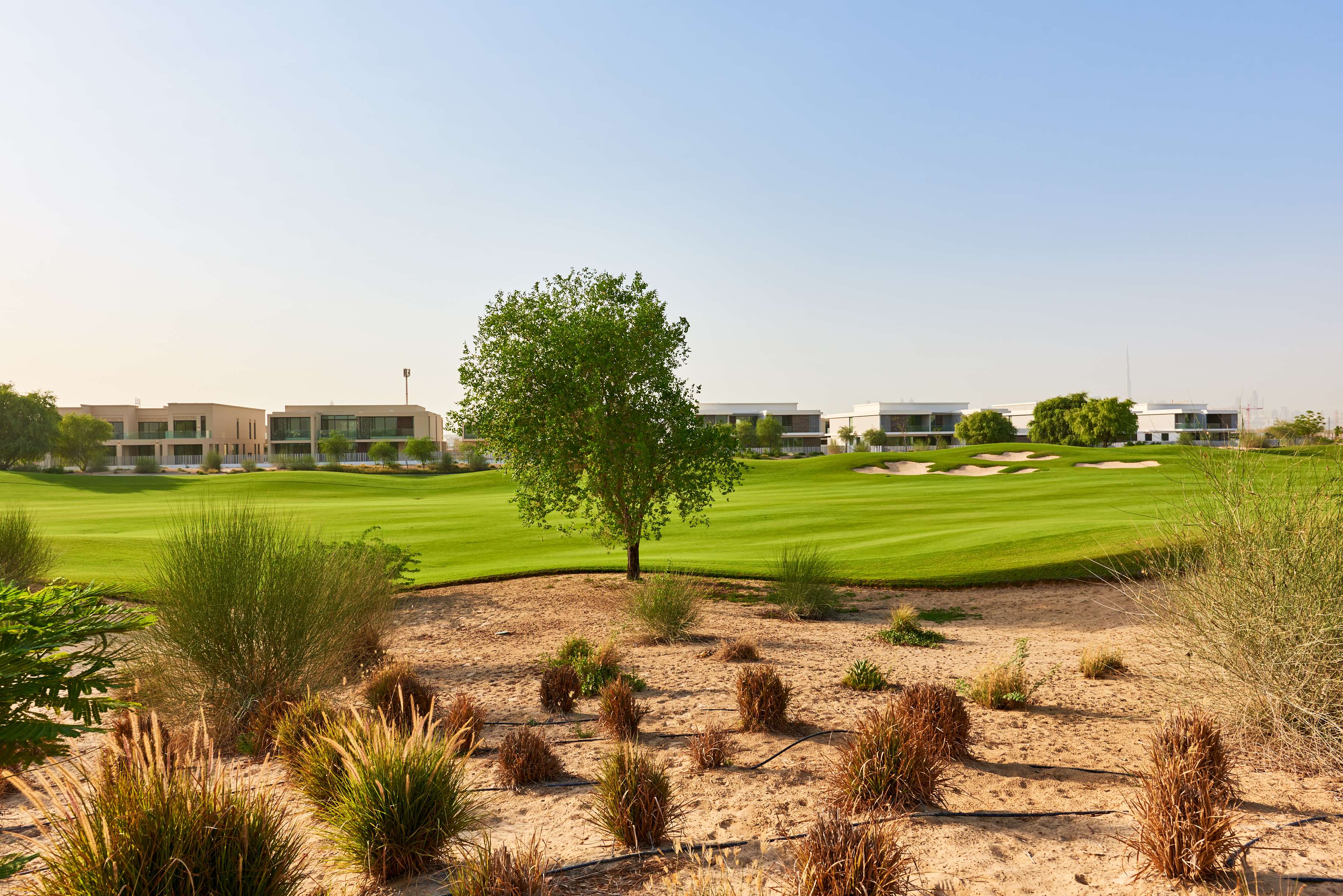 Emerald Hills interior — 55