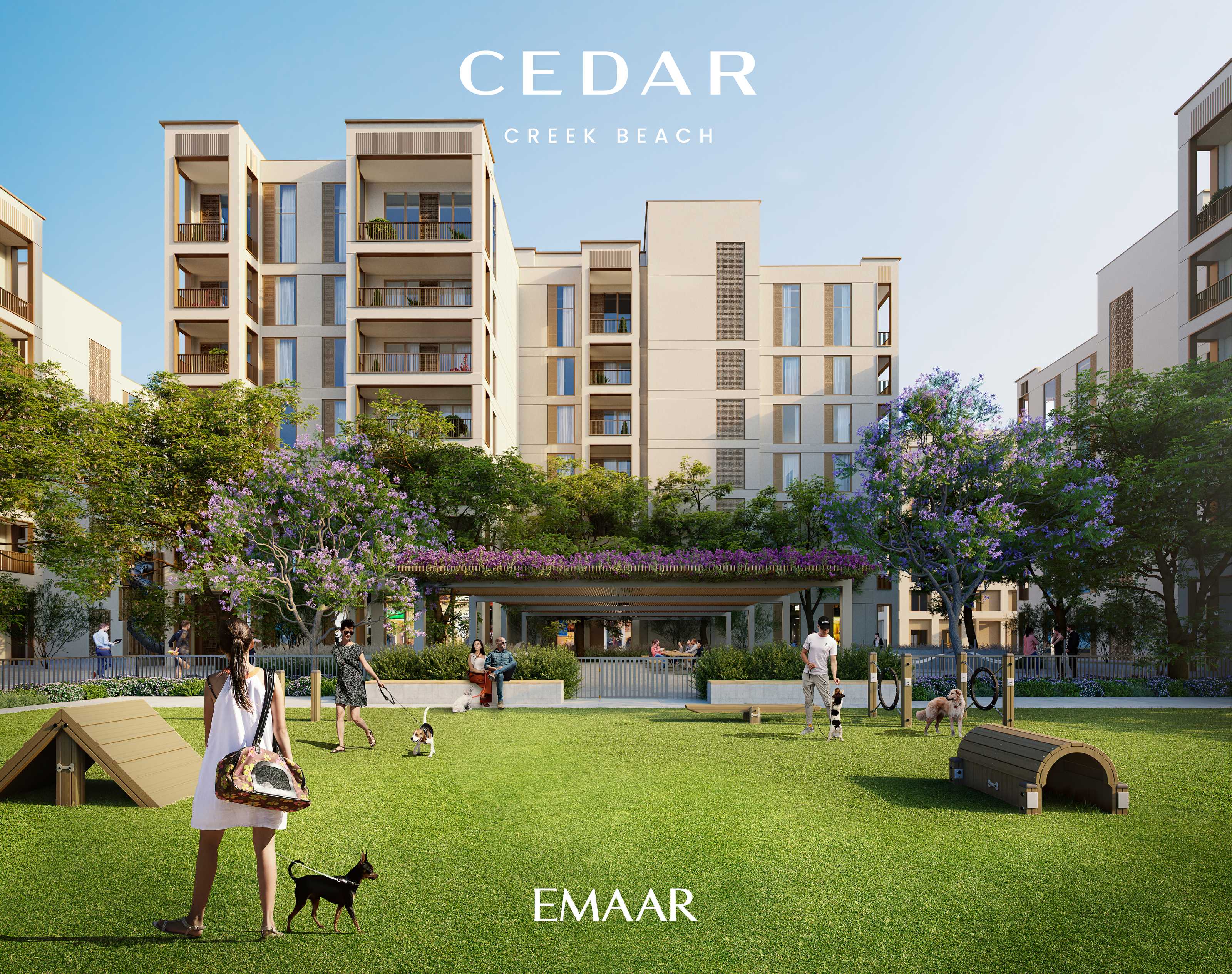 Cedar interior — 8