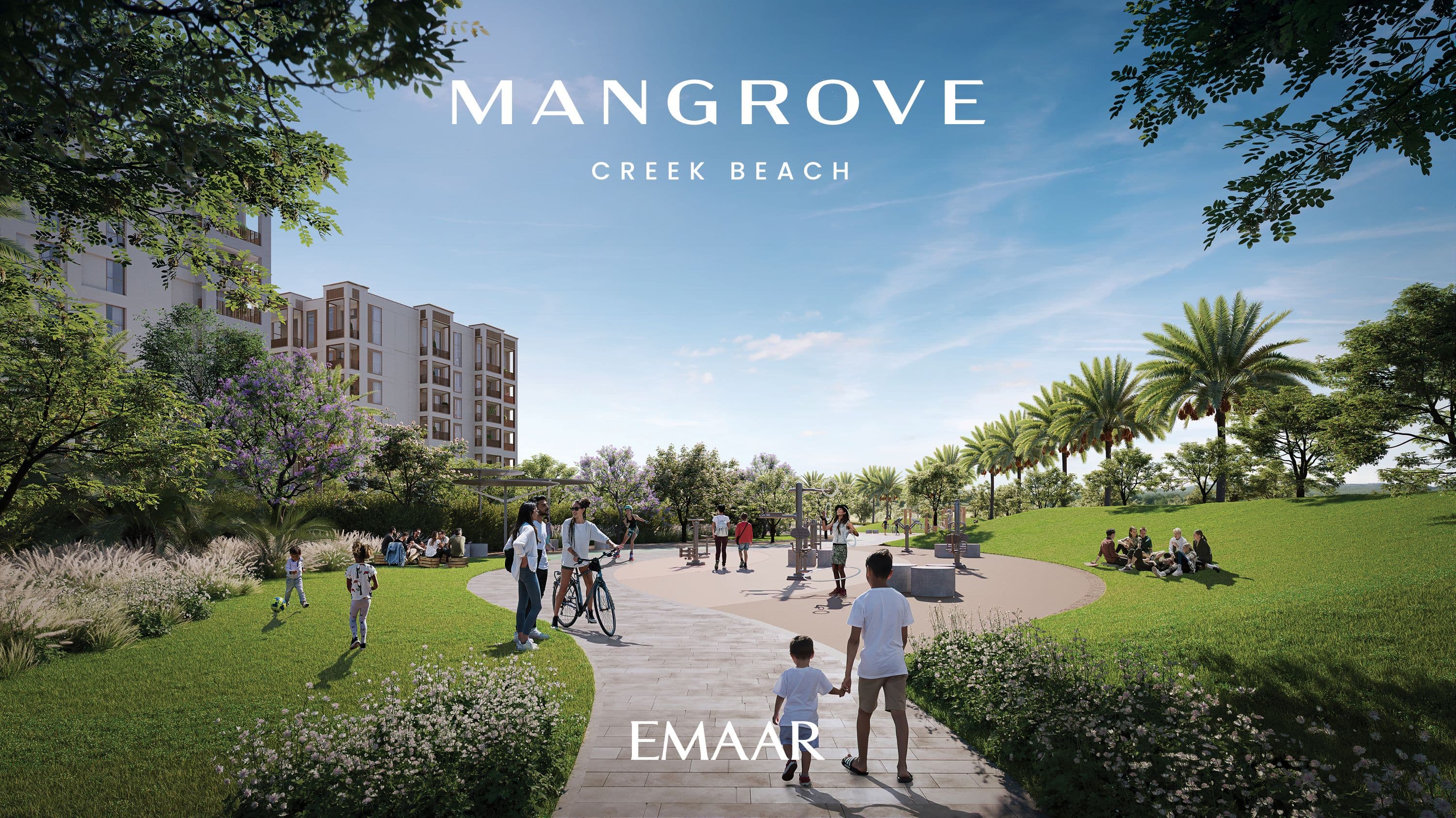 Mangrove interior — 3