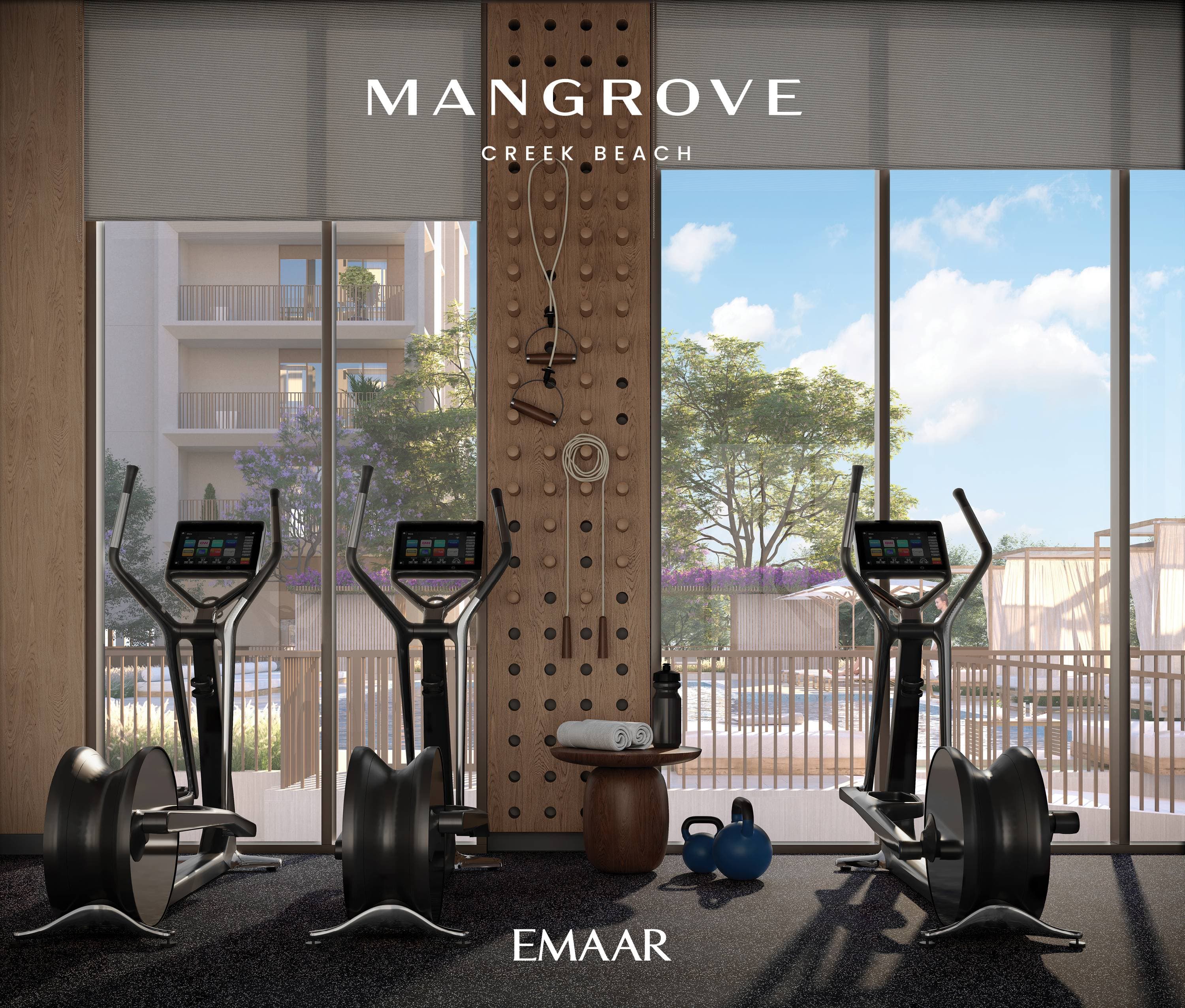 Mangrove interior — 9