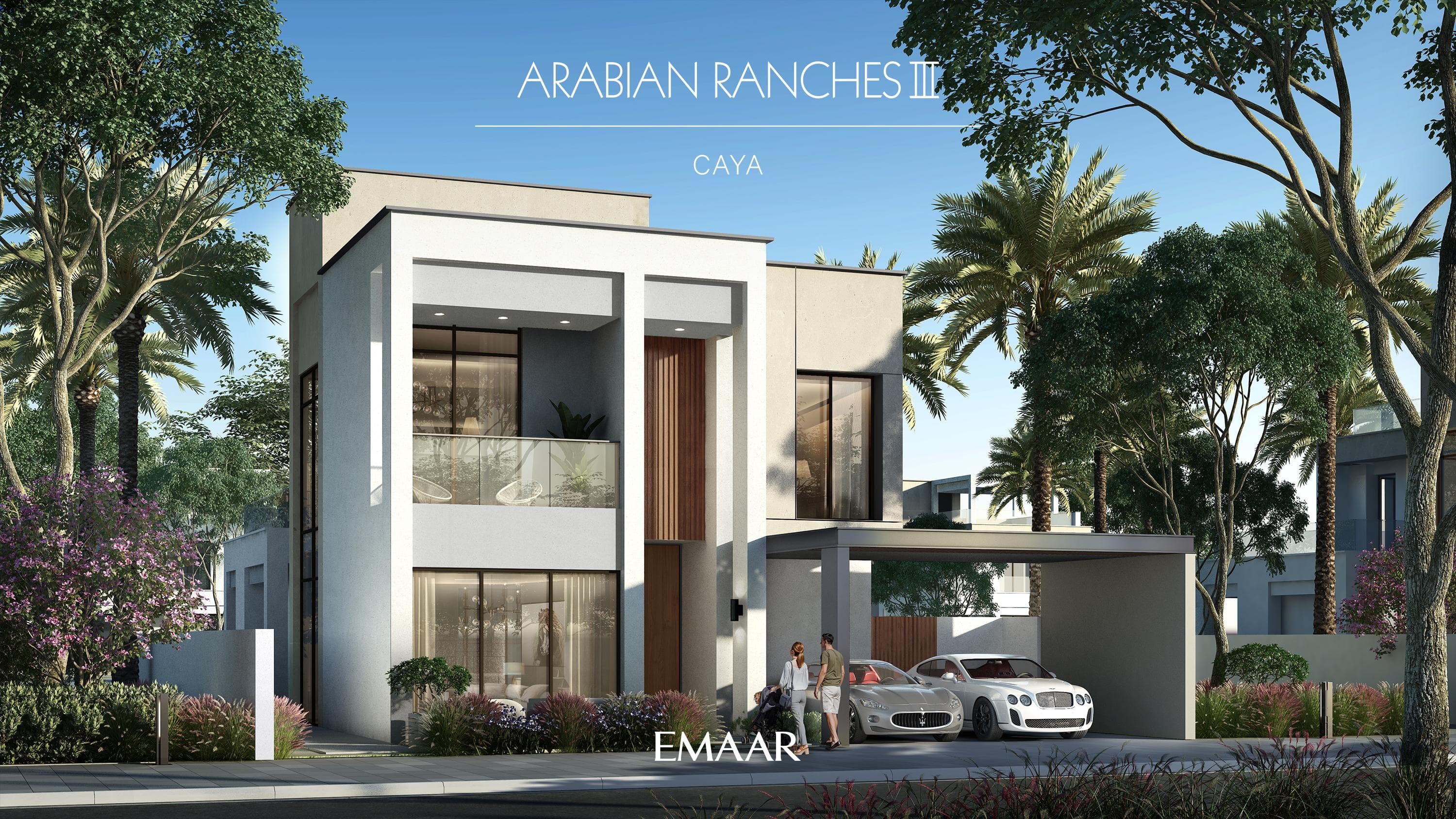 Caya interior — 20