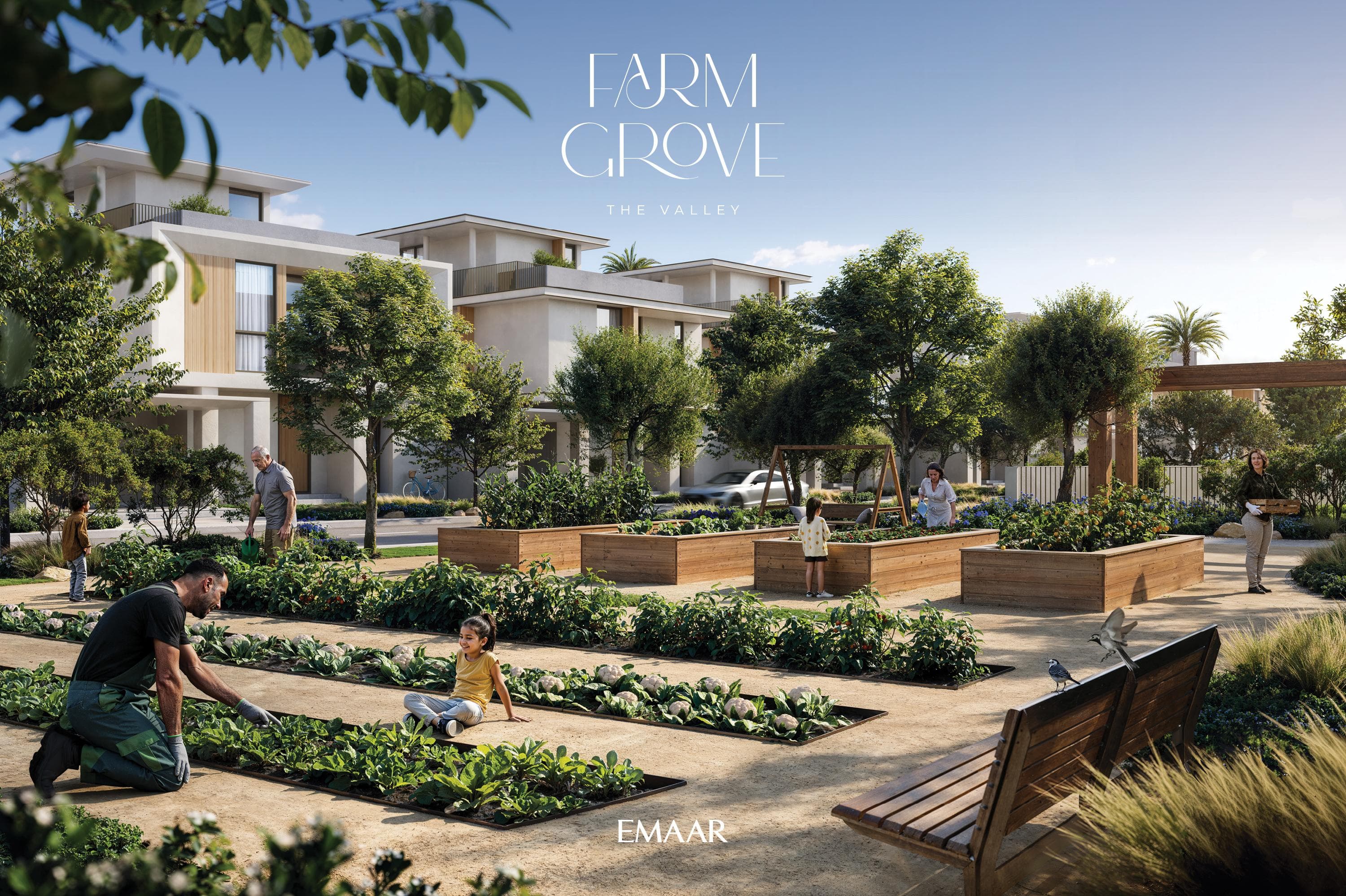 FARM GROVE interior — 2