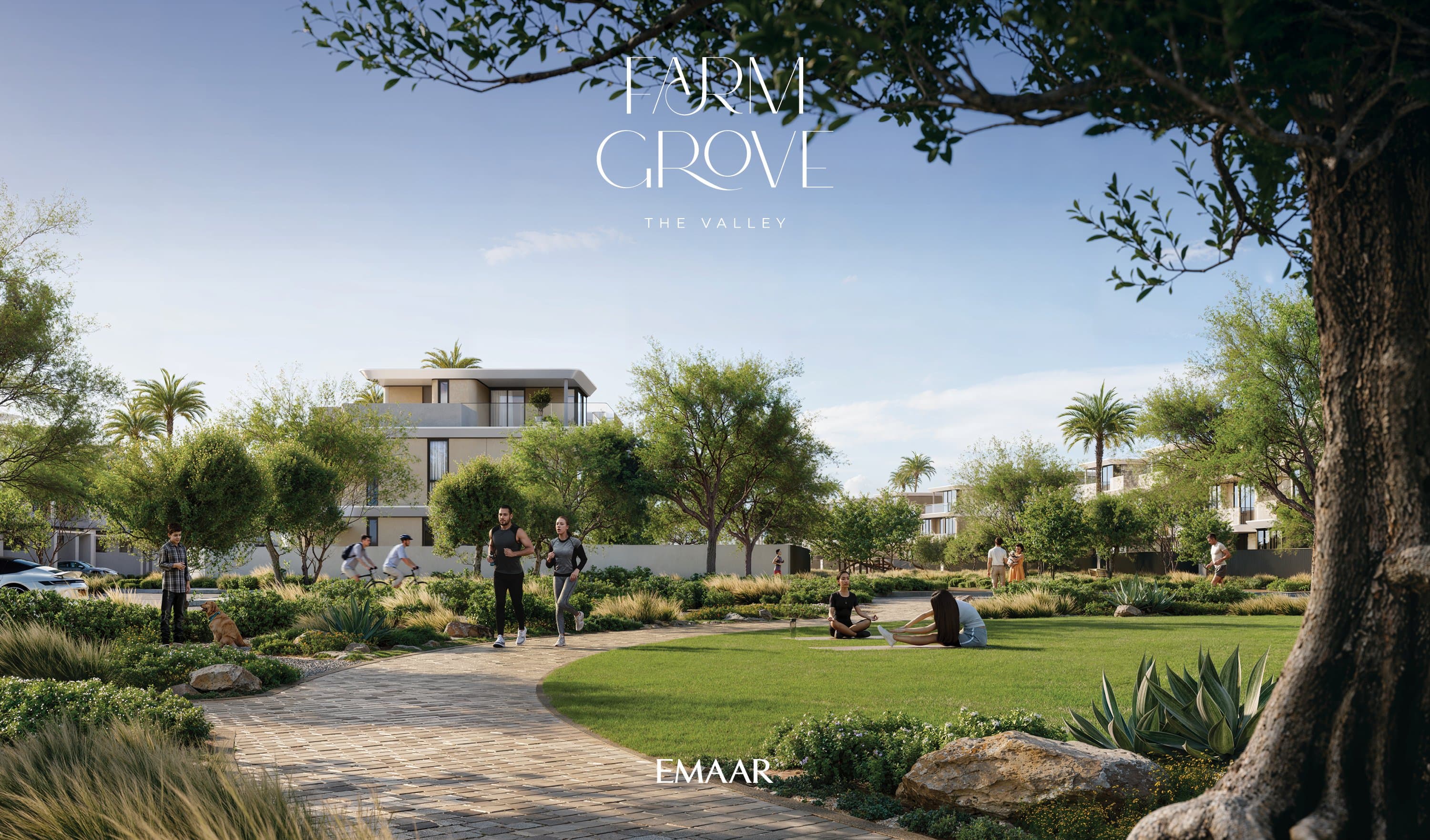 FARM GROVE interior — 4