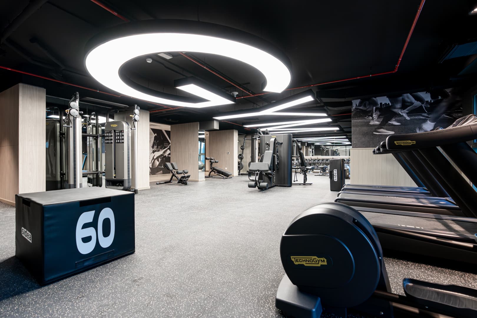 Belgravia Square interior — 17